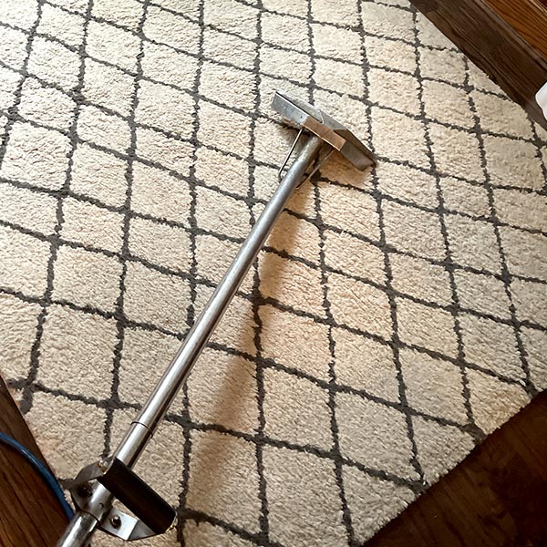 Area Rug Cleaning