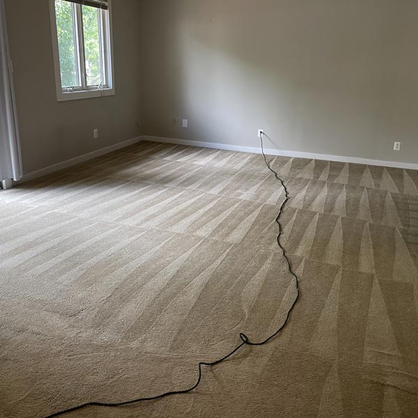 Deep Carpet Cleaning