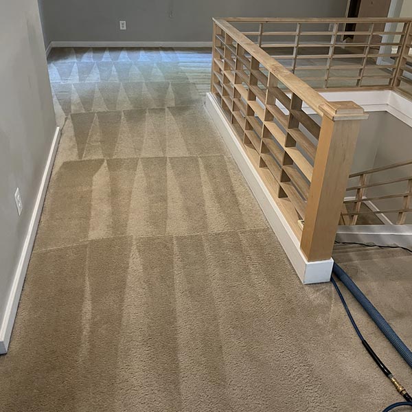 Steam Carpet Cleaning